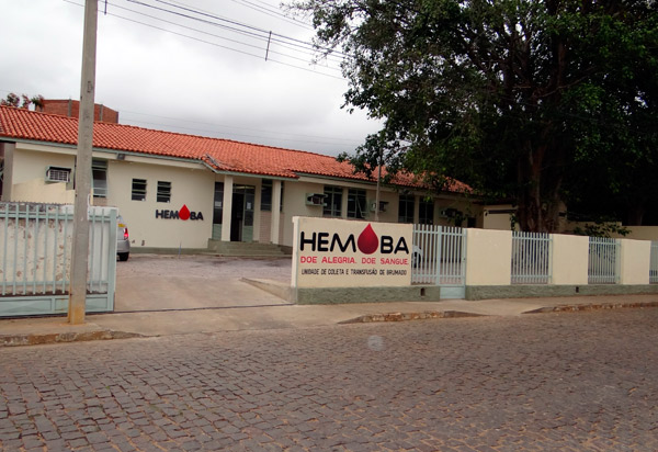 Brumado: falta de bolsas para coleta no Hemoba  prejudica doação de sangue