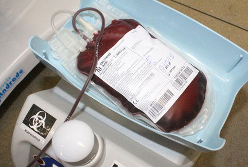 Menos de 2% da população doa sangue regularmente, diz Ministério da Saúde