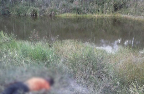 Barra da Estiva : Homem morre afogado em barragem