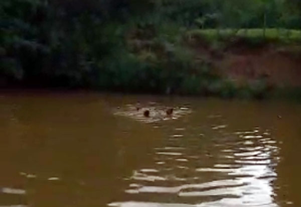 Brumado: Homem morre afogado no Rio do Antônio