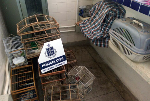 Brumado: Polícia Civil prende autor de roubo a estabelecimento comercial