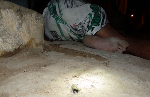 Bahia tem maior número de homicídios do país, diz estudo