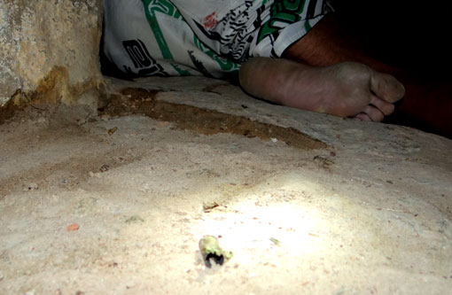 Número de homicídios cai 20,9% na Bahia entre janeiro e abril