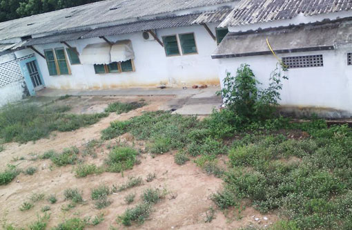 Brumado: Leitor denuncia quantidade de mato dentro da área do Hospital Professor Magalhães Neto