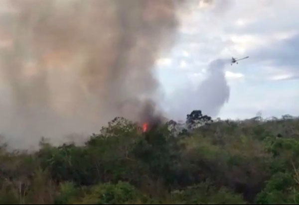 Incêndio atinge vegetação em Ibicoara, na Chapada Diamantina