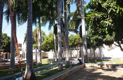 Brumado: Praça da Prefeitura começa a receber iluminação natalina