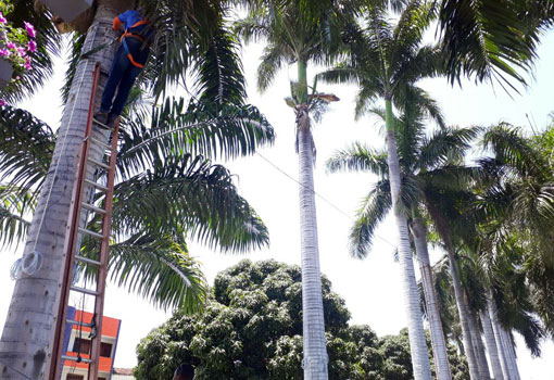 Brumado: prefeitura inicia instalação de ornamentação natalina na Praça Coronel Zeca Leite
