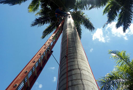 Brumado: teve início a ornamentação de natal da Praça da Coronel Zeca Leite