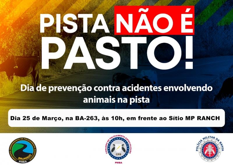 Brumado: PRE lança o Projeto 'Pista não é Pasto'