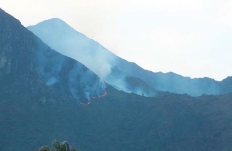 Incêndio atinge serra na região da Chapada Diamantina