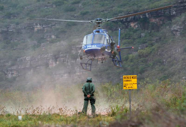 Bahia Sem Fogo atua na prevenção e combate aos incêndios florestais em todo o estado