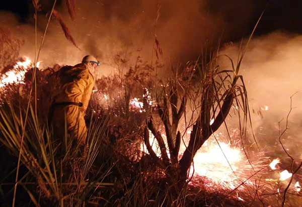 Incêndio atinge a região do Capa Bode, o Parque Nacional da Chapada Diamantina e o Parque Municipal de Andaraí