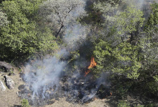Difícil acesso dificulta contenção de incêndio no Pico das Almas, na Chapada Diamantina