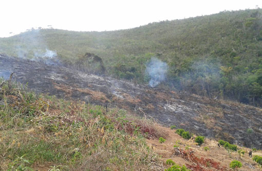 Ibicoara: Homens são detidos após atearem fogo em área de proteção ambiental