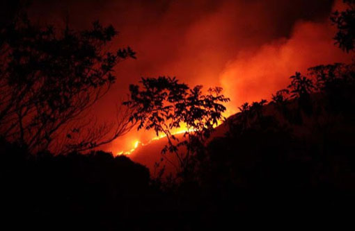 Fogo volta a comprometer áreas da Chapada Diamantina