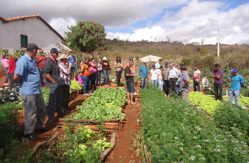 Famílias agricultoras de Brumado participam de visitas de intercâmbios