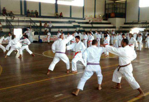 Atletas da Academia de Karatê Tradicional Dô Shotokan participarão do Master Course em Lauro de Freitas