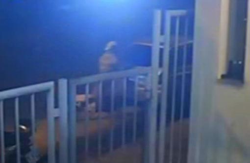 Morte de Charles Muller: Polícia divulga imagens que podem ajudar a identificar ladrões