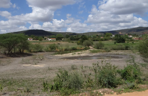Mais de 1,5 milhão de pessoas são atingidas pela seca na Bahia