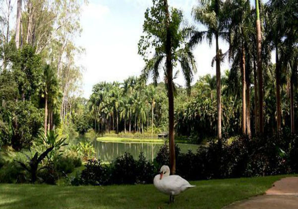 Instituto Inhotim é evacuado após rompimento de Barragem da Vale;  lama atingiu a cidade de Brumadinho