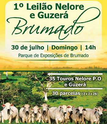 Brumado: touros Nelore e Guzerá, cavalos Quarto de Milha e Mangalarga Marchador estarão à venda na Feira de Animais