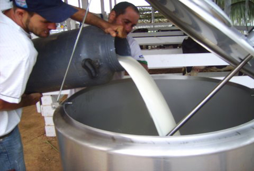  MP instaura Procedimento Administrativo para adequação da comercialização do transporte do leite na região 