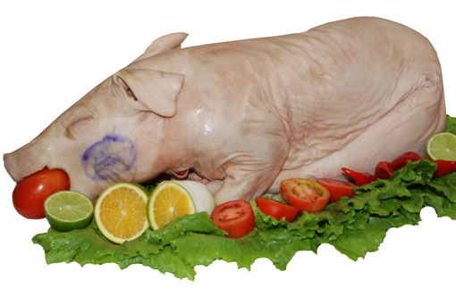 Brumado: Leitoa para o São João é na Granja Mundial