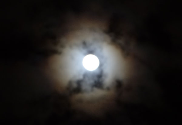 Eclipse parcial da Lua poderá ser observado nesta madrugada