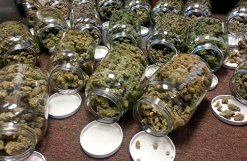 Médicos poderão prescrever princípio ativo da maconha