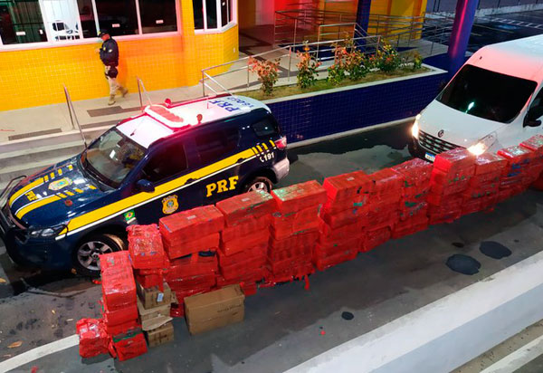 Com auxílio de cão farejador, PRF apreende quase 1,5 tonelada de maconha em Conquista