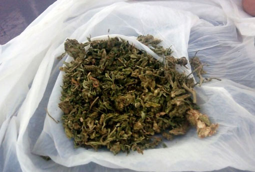 Brumado: durante abordagens, guarnição TOR apreende droga encontrada no interior de veículo