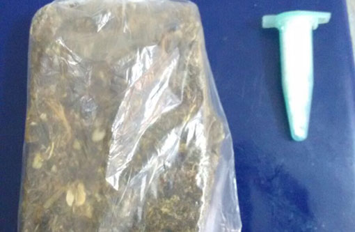 Brumado: Homem é detido após ser flagrado com drogas