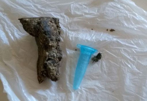 Polícia Militar reprime o tráfico de drogas em Paramirim