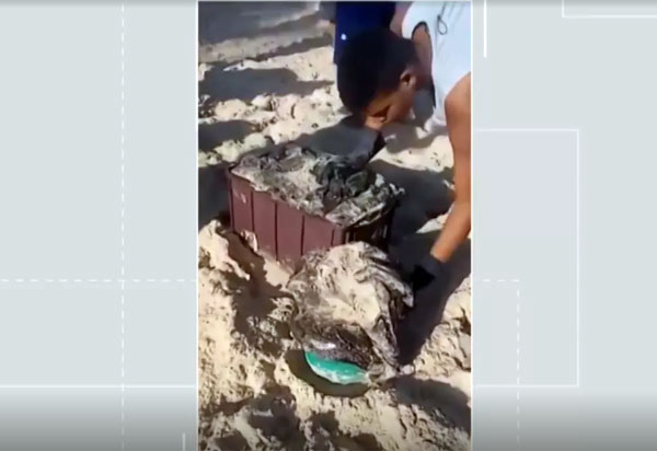 Manchas atingem Porto Seguro nas praias de Arraial D'Ajuda e Trancoso