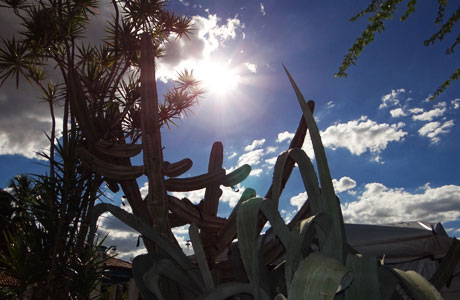 Clima ficará mais quente no Brasil neste século, dizem cientistas