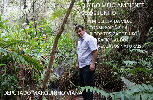 Deputado Marquinho Viana defende a conservação do Meio Ambiente