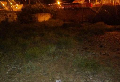 Brumado: falta de iluminação e mato prejudicam moradores da Rua Armindo da Silva Leite