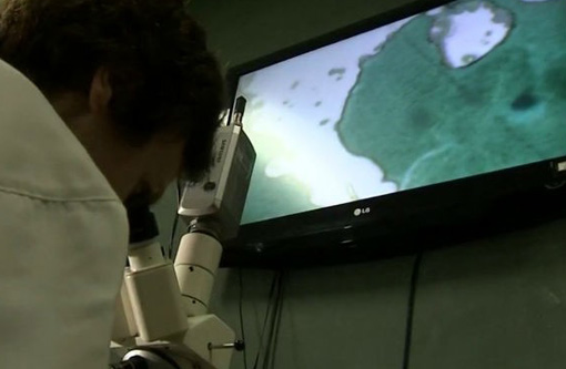 Após 10 anos de estudo, médico apresenta solução contra a rinite alérgica