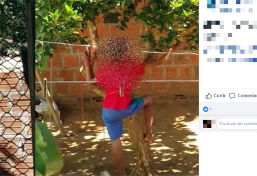 Palmas de Monte Alto: mulher é presa após amarrar filho de 12 anos em árvore do quintal de casa