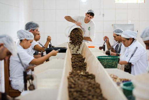 IBGE:  Mercado de trabalho vive círculo vicioso com perda de emprego e renda