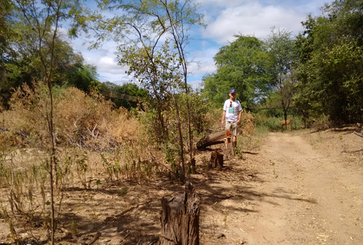 Modera constata degradações em margens do Rio do Antônio