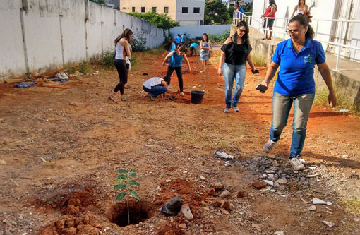 Modera participa de atividades no Dia do Meio Ambiente