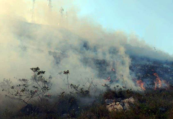 Incêndio atinge Morro da Torre e região em Barra da Estiva