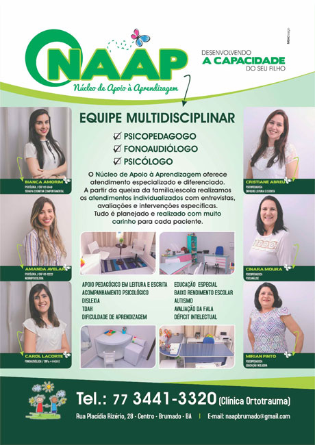 Naap - Desenvolvendo a capacidade do seu filho 