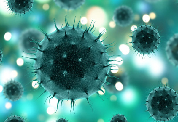 Casos graves de Covid-19 estão associados a envelhecimento do sistema imune