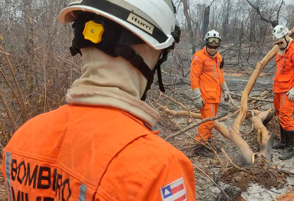 Operação Bahia Sem Fogo mantém esforços no combate aos incêndios em toda a Bahia