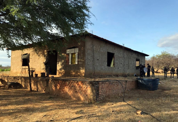 Livramento: PF faz operação para erradicar plantio de maconha