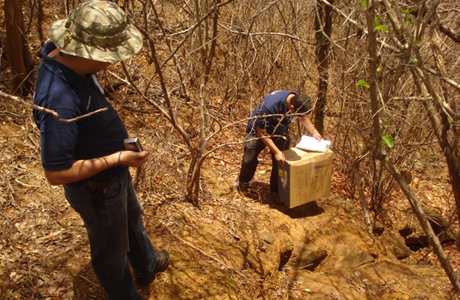 Caculé: Ossada encontrada no fim de semana 