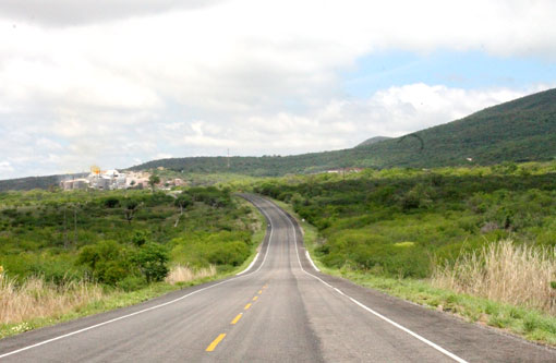 Brumado: Vegetação muda devido às chuvas dos últimos dias