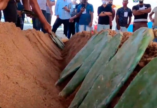 Mais de mil produtores de 12 municípios da região Sudoeste recebem capacitação sobre cultivo intensivo da Palma